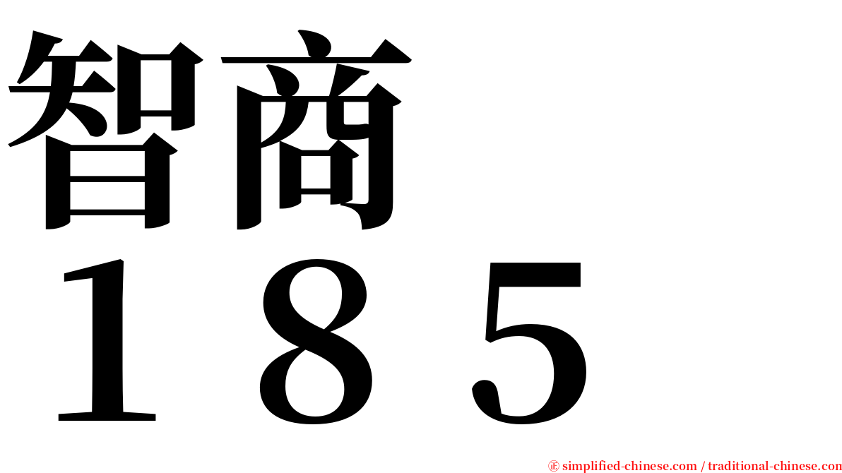 智商　　１８５ serif font